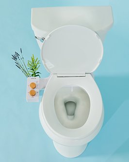 TUSHY Spa 3.0