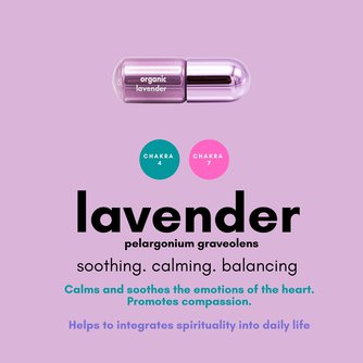 Lavender Moodzee Roller Ball