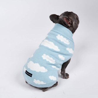 Clouds Knit Dog Sweater