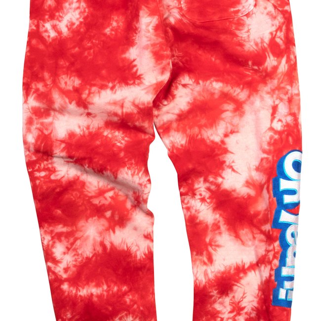 DGK_KoolAid_SmashFleecePant_Back