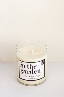 Boxwood Scented Soy Candle
