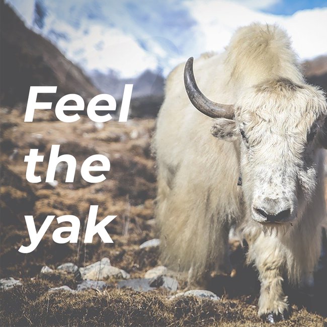 Materials-Ad-Set-Yak-Image (1).jpg