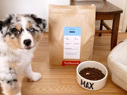 Max: Growing Puppy