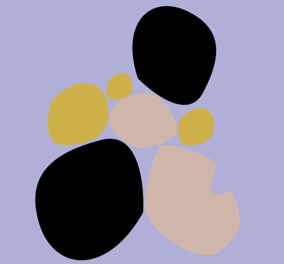 Guide Image