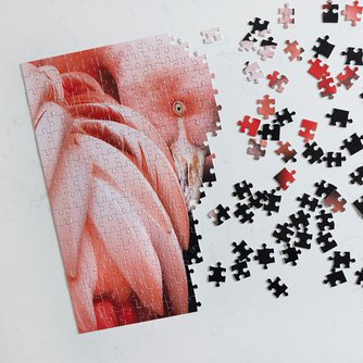 Custom Photo Puzzles