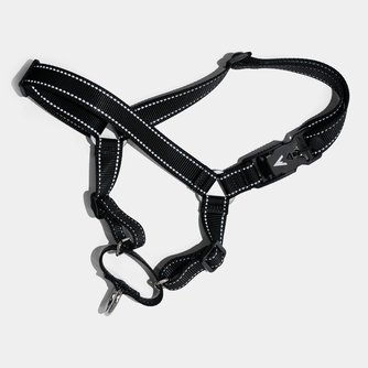 Lifetime Harness