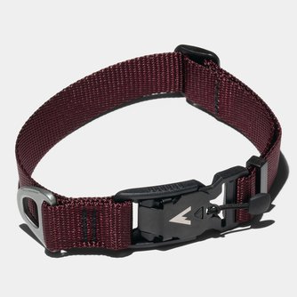 Lifetime Lite Collar