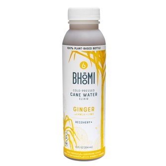 Ginger Recovery+