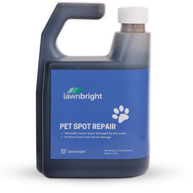 Pet Spot Repair