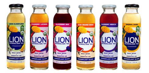 LION Tea Discovery Box